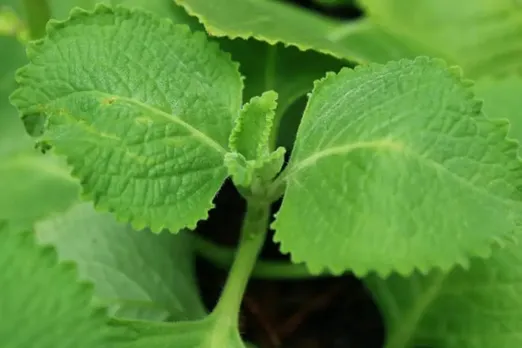 639d569d-a742-4a4a-aa4b-db0cc4b39888