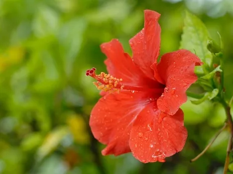 8f2dd506-2ab6-406a-91f4-ef254eece649