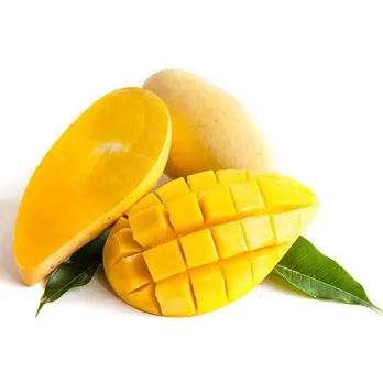 91e1a18a-975f-42ff-8a97-38faecea3204