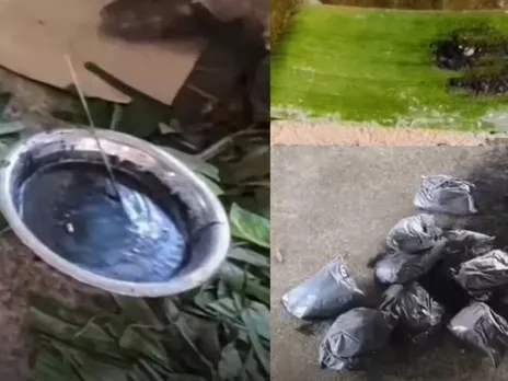 images (1280 x 960 px)(335)