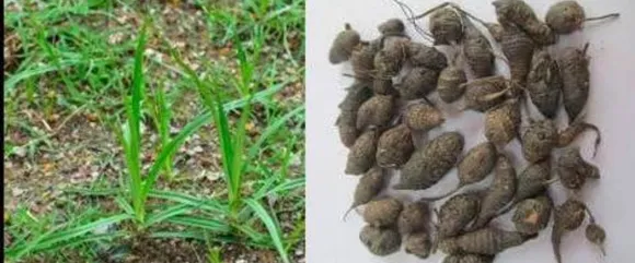 44add516-4806-45cb-9bb3-cf3a223773e5