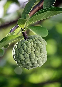 b6f80e84-692d-4dde-a84c-0d5090ce515a (1)