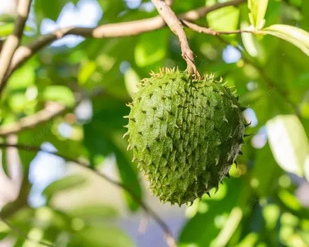 c6bd34d6-99df-47e2-a42d-5531476b27ce