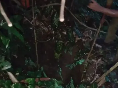 images (1280 x 960 px)(368)