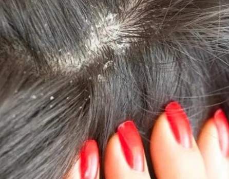 5efc38b6-a1b5-455b-ba09-b33f19529606