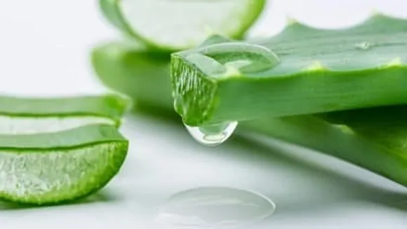 a961a8c5-b3ce-4726-8984-f89ede5d10df