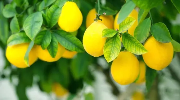 dd6064b1-a92a-4599-bb0d-3c78d5e89084