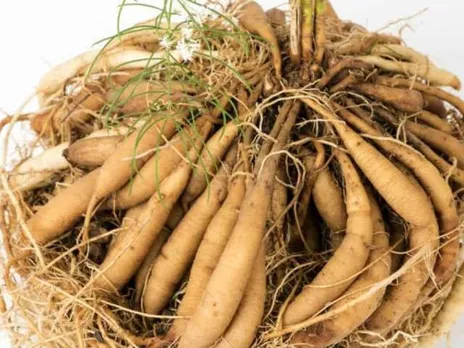 d48409de-b194-42fc-a739-bf9ffd9645b3