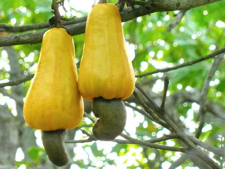 f3f34856-21e3-4c4e-8379-953da8f402b3