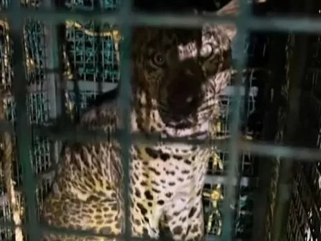 images (1280 x 960 px)(412)