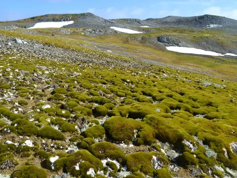 landscape in antartica