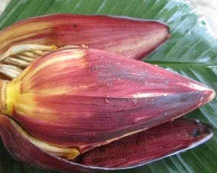 0ae58fd3-4878-41ce-a7fd-c8a2745f8583