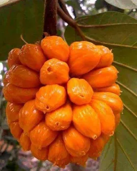 39def414-d074-487a-987c-45132af07216