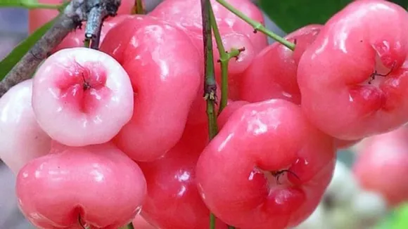 a91fbb58-548a-4fd6-a7fd-3f697a729bfb (1)