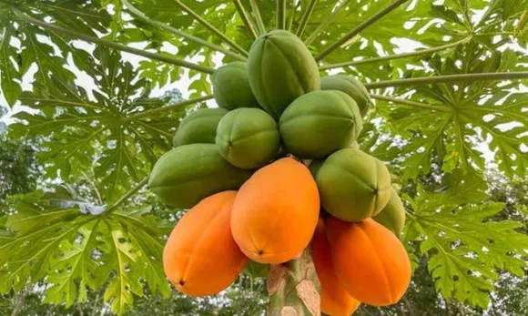 d659b55a-6cb8-4b20-abf3-79a554acc335