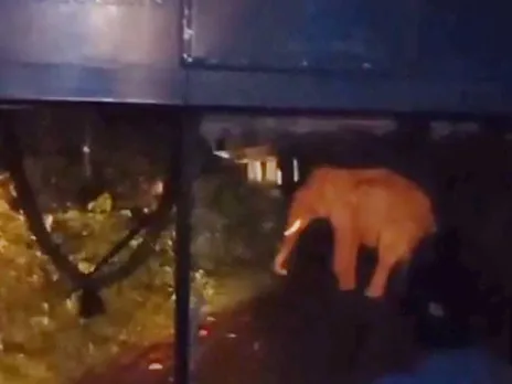 images (1280 x 960 px)(428)