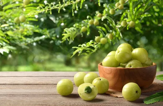how-to-grow-and-take-care-of-gooseberry_0_1200