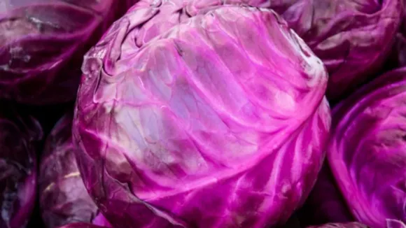 w-1280,h-720,imgid-01gg45psvd9vakaweaqp0z2q61,imgname-fotojet--5-