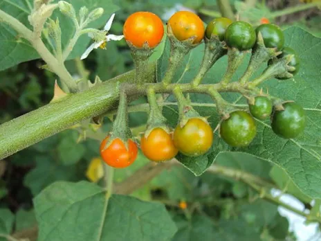 58760e44-36ec-41e6-a189-05ec1679de94 (1)