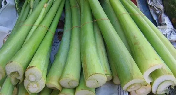 ce1c9b43-efb2-4811-8c04-de15b0dd188c