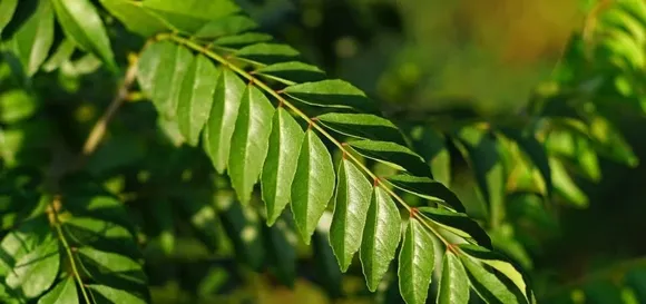 fea101e3-eb0d-4e20-bd14-4dc6bfc7483d