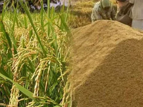 images (1280 x 960 px)(491)