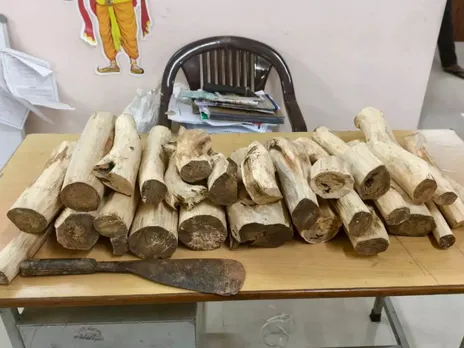 images (1280 x 960 px)(95)