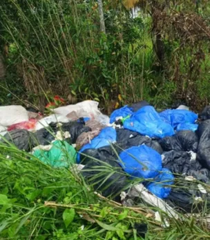 0d459699-ae2a-4033-93a1-2935e8b59b01