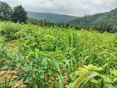 7be255e1-7b80-49b9-be91-0a6faa659f1d