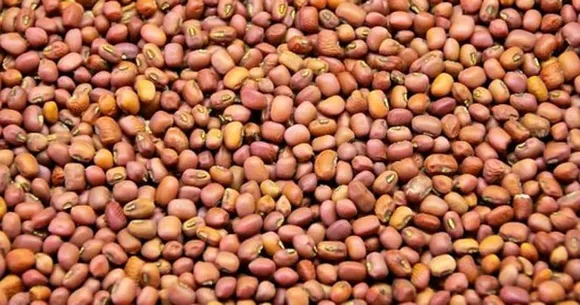 aebb98b9-11cc-4050-979e-b8bbb3226b1d