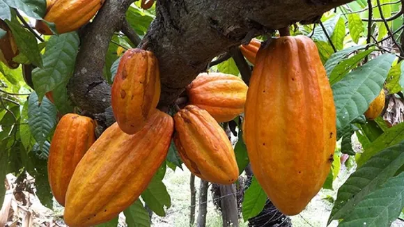 c3921b80-24c8-4086-a9c6-474f255a638c