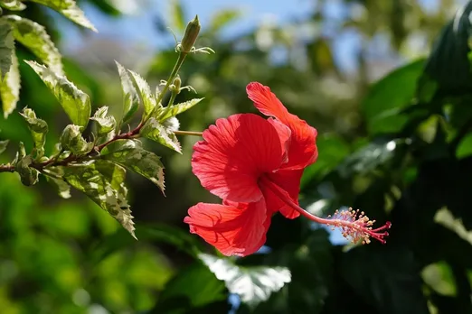 g3ac5e2ee2_1712488788