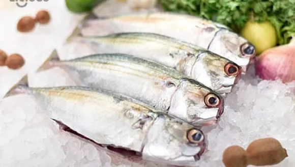 1580811977_p_5284528_1062945