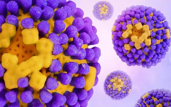 b042b828-a2c6-4081-af5e-79333f806906