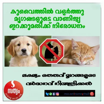 08a07143-25ee-4a36-9c7f-170c142bbf6b