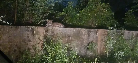 a0aa57c4-7345-4b16-8fe7-724151a31e2e