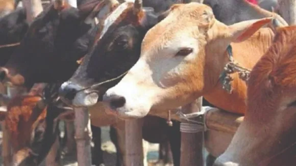 blob_h0tz5ar-750x422