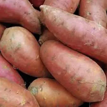 sweet-potato