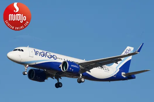 indigo flight
