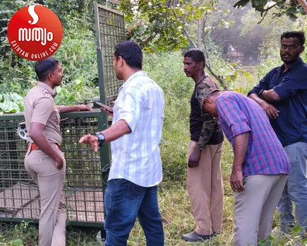 leopard trape installed