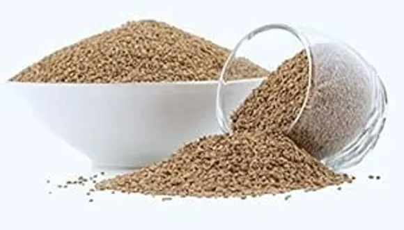 41BpjFtGVqL._SY300_SX300_QL70_ML2_