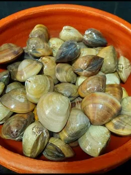 41204d27-c193-41dd-a24d-15a256c9f6ac