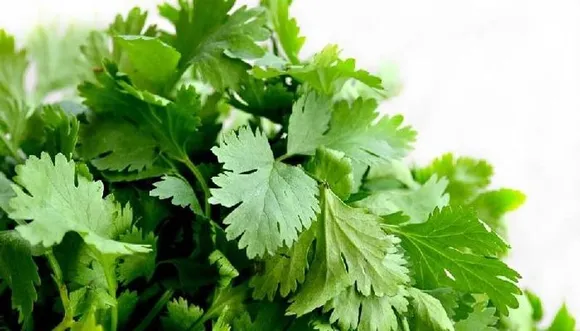 new-project--47-_1200x675xt