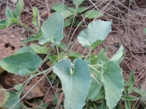 814147ce-8bec-414d-840b-1fb7b9dc9bb1