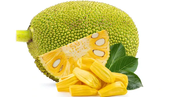 jackfruit