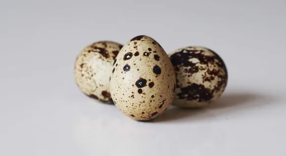 Untitled-design-2023-01-26T163940.642