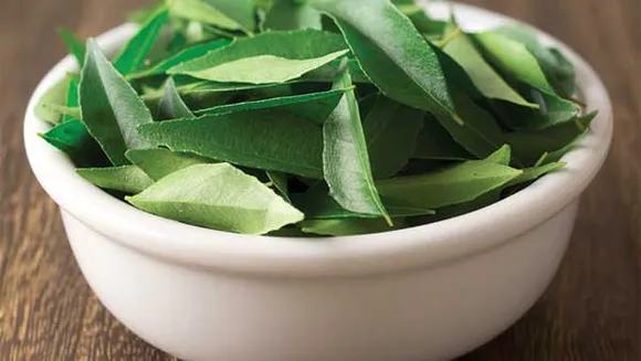 curry-leaves1-1753540330
