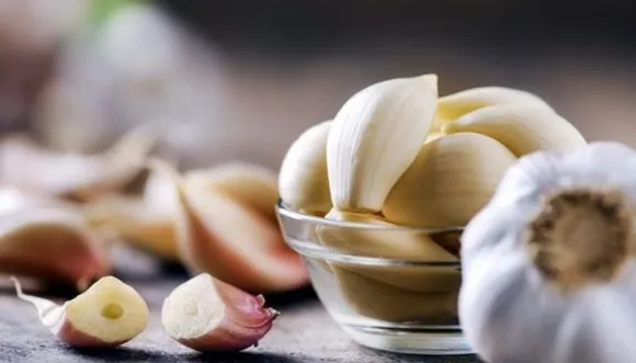 fotojet--42-_1280x720xt