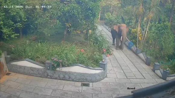 1517938-kannur-elephant