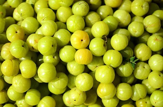 gettyimages-504432770-612x612